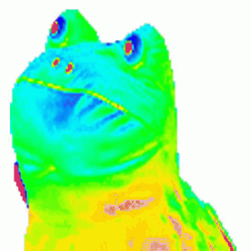 Thermal-imaging frog gif